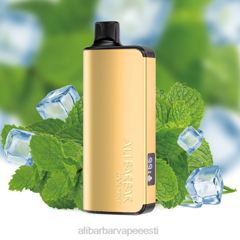 Alibarbar Review - Alibarbar Ingot 20 000 ühekordselt kasutatav vape B2TX35 lahe piparmünt